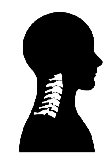 체형 교정 영상